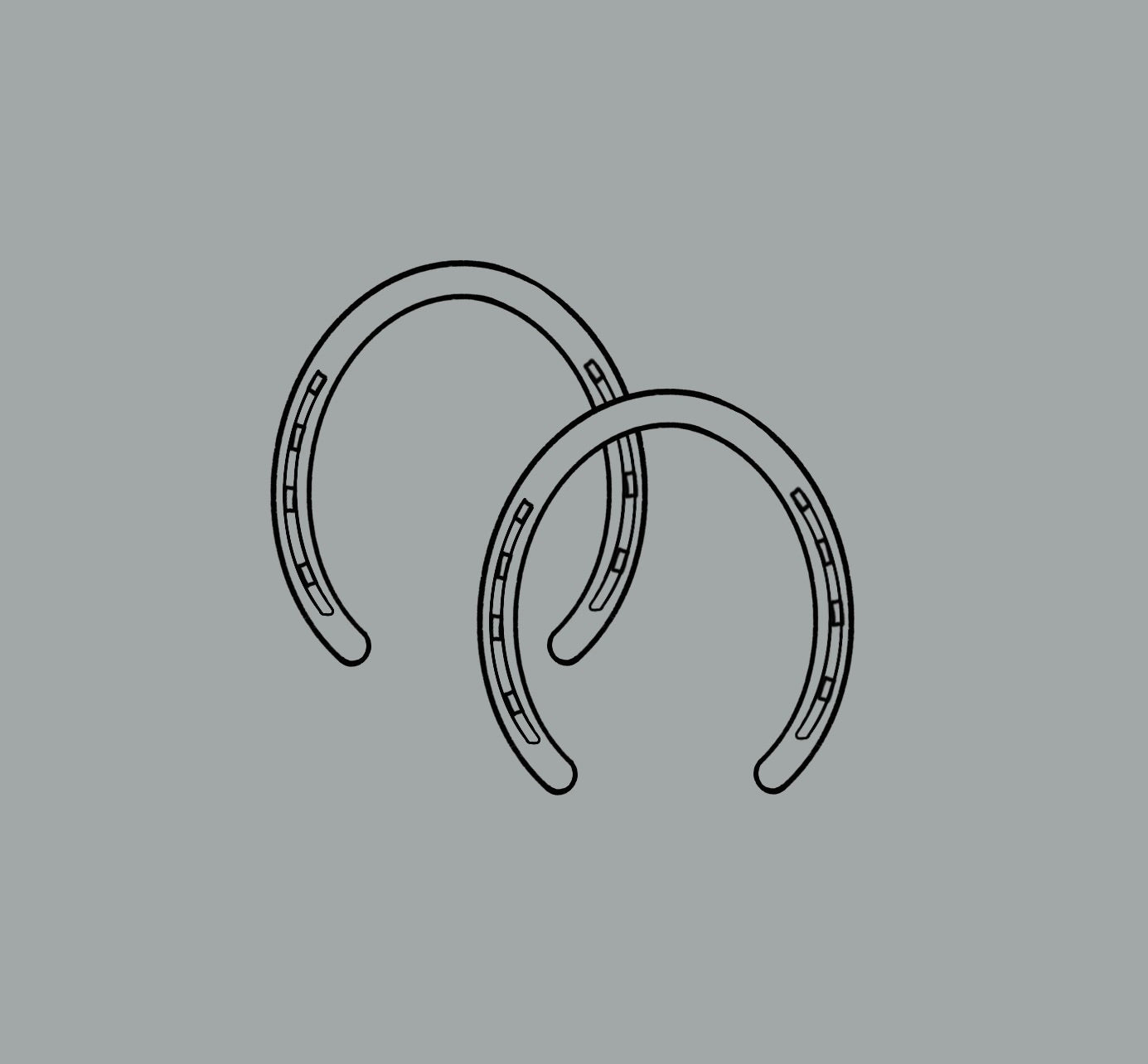 Accessory Collection